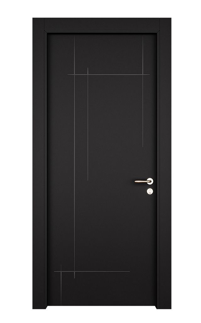 Black security door